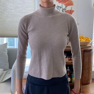 Everlane Italian Merino Rib Turtleneck
